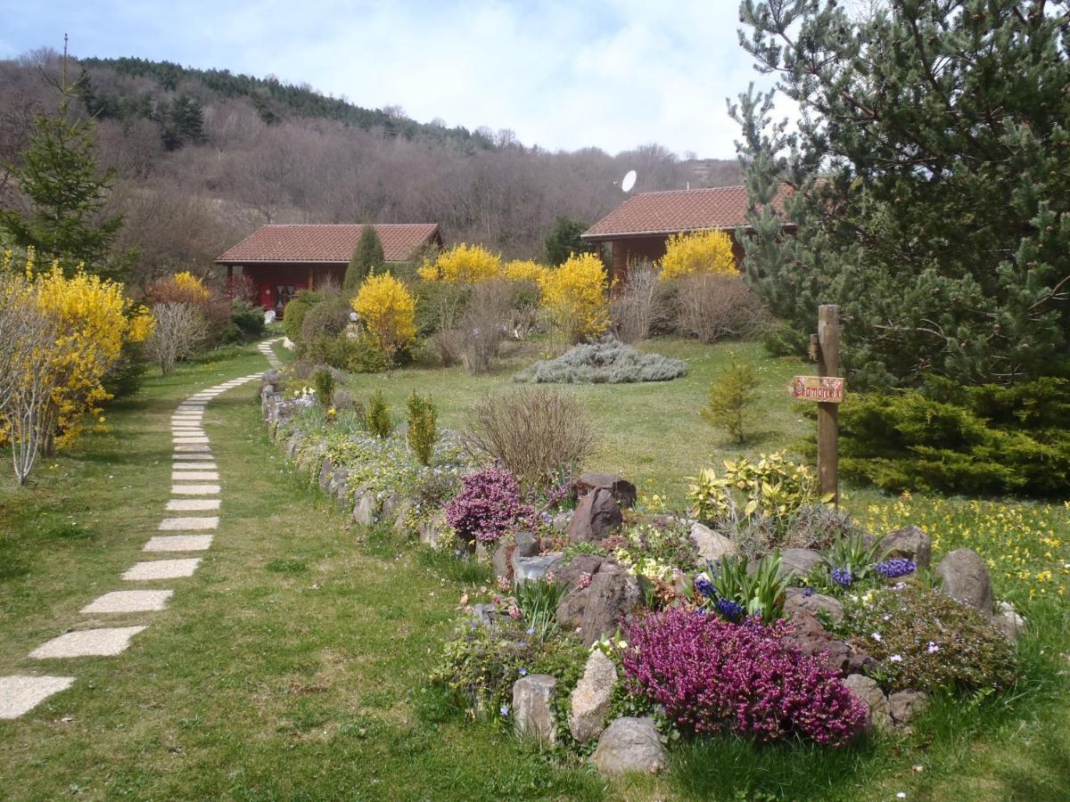 Les Chalets De La Vigne Grande Сен-Флорет Экстерьер фото